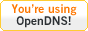 Use OpenDNS
